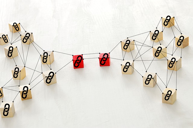 Top Tools for 2024 to Check your Website Backlinks